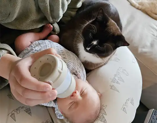 Baby en kat