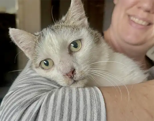 asielverantwoordelijke controleert de match
